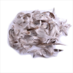 Do peří ptačí extra 10g - velkoobchod, dovoz květin, řezané květiny Brno