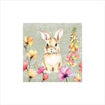 DO UBROUSKY 24 x 24CM 20KS Floral Friend - velkoobchod, dovoz květin, řezané květiny Brno