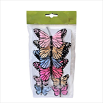 DO Motýl S/8 klip mix barev - velkoobchod, dovoz květin, řezané květiny Brno