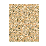 Ob papír arch 0,7 x 1 m/25 ks 3379/63 - velkoobchod, dovoz květin, řezané květiny Brno