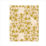 Ob papír role 0,7 x 25 m 2089/87 - velkoobchod, dovoz květin, řezané květiny Brno