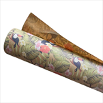 OB papír kraft role 0,8x40m Bahia - velkoobchod, dovoz květin, řezané květiny Brno