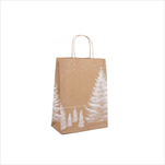 Taška vánoční 18 x 8 x 24 cm - velkoobchod, dovoz květin, řezané květiny Brno