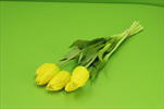 Uk tulipán 5ks/46cm žlutý - velkoobchod, dovoz květin, řezané květiny Brno