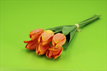 Uk tulipán 6ks/45cm oranžový - velkoobchod, dovoz květin, řezané květiny Brno