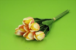 Uk tulipán 6ks/45cm růžový - velkoobchod, dovoz květin, řezané květiny Brno