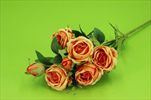 Uk Růže mini 62cm oranžová - velkoobchod, dovoz květin, řezané květiny Brno