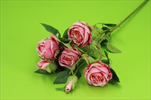 Uk Růže mini 62cm tm. růžová - velkoobchod, dovoz květin, řezané květiny Brno