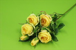Uk Růže mini 62cm žlutá - velkoobchod, dovoz květin, řezané květiny Brno
