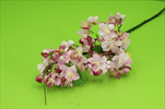 Uk větvička kvetoucí 70cm tm. růžová - velkoobchod, dovoz květin, řezané květiny Brno