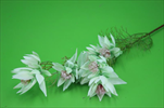 Uk Větev květ 66cm světle zelená - velkoobchod, dovoz květin, řezané květiny Brno