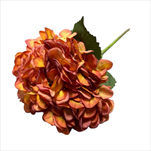 Uk hortenzie 57,5 cm hořčicová - velkoobchod, dovoz květin, řezané květiny Brno