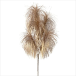 Uk pampas 102 cm zlatý - velkoobchod, dovoz květin, řezané květiny Brno