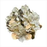 Uk květ hortenzie 27 cm krémový - velkoobchod, dovoz květin, řezané květiny Brno