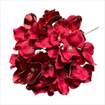 Uk květ hortenzie 27 cm červený - velkoobchod, dovoz květin, řezané květiny Brno