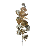 Uk větvička eucalyptus 118 cm šampaň - velkoobchod, dovoz květin, řezané květiny Brno