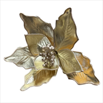 Uk poinsettia 25 cm šampaň - velkoobchod, dovoz květin, řezané květiny Brno