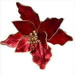 Uk poinsettia 25 cm červená - velkoobchod, dovoz květin, řezané květiny Brno