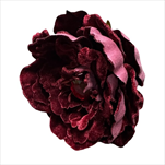 Uk květ pivoňky velvet 20 cm bordó - velkoobchod, dovoz květin, řezané květiny Brno