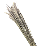 Su Piumeta 100g natur - velkoobchod, dovoz květin, řezané květiny Brno