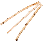 Su Kmeny bříza 3 ks 120 cm - velkoobchod, dovoz květin, řezané květiny Brno