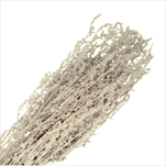 Su Brizzone 100g bílá - velkoobchod, dovoz květin, řezané květiny Brno