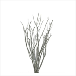 Su Mitsumata 70cm/10ks stříbrná - velkoobchod, dovoz květin, řezané květiny Brno