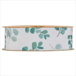 Stuha Eucalyptus listy 40 mm/10 m - velkoobchod, dovoz květin, řezané květiny Brno