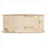 Stuha Sedmikrásky 40 mm/10 m krémová - velkoobchod, dovoz květin, řezané květiny Brno