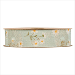 Stuha Sedmikrásky 25 mm/10 m modrá - velkoobchod, dovoz květin, řezané květiny Brno