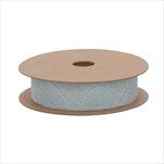 Stuha Majolica 25 mm/10 m světle modrá - velkoobchod, dovoz květin, řezané květiny Brno