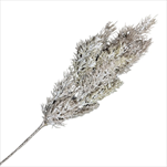 Uk cypřiš větev 53 cm hnědobílá - velkoobchod, dovoz květin, řezané květiny Brno