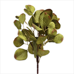 Eucalyptus textil 43cm oliva - velkoobchod, dovoz květin, řezané květiny Brno