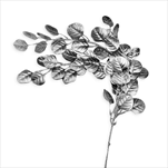 Eukalyptus převis pvc 77cm stříbrná - velkoobchod, dovoz květin, řezané květiny Brno