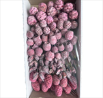 SORTIMENT ON WIRE FROSTED ERIKA TRAY ( 100 PC ) - velkoobchod, dovoz květin, řezané květiny Brno