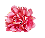 Hortenzie květ textil 12ks12cm růžová - velkoobchod, dovoz květin, řezané květiny Brno