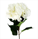Hortenzie textil 68cm bílá - velkoobchod, dovoz květin, řezané květiny Brno