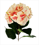 Hortenzie textil 68cm růžová/krém - velkoobchod, dovoz květin, řezané květiny Brno