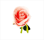 Růže textil 23cm růžová - velkoobchod, dovoz květin, řezané květiny Brno