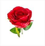 Růže textil 23cm červená - velkoobchod, dovoz květin, řezané květiny Brno