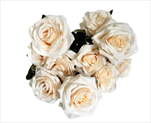 Růže kytice textil x10/45cm broskev - velkoobchod, dovoz květin, řezané květiny Brno