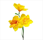 Narcisy textil x3/50cm žlutá - velkoobchod, dovoz květin, řezané květiny Brno