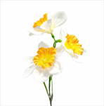 Narcisy textil x3/50cm bílá/žlutá - velkoobchod, dovoz květin, řezané květiny Brno