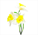 Narcisy textil x3/50cm bílá/žlutá - velkoobchod, dovoz květin, řezané květiny Brno