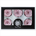 Stabilizovaná růže hlava 6ks/6,5cm gliter růžová - velkoobchod, dovoz květin, řezané květiny Brno