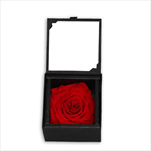Stabilizovaná  - růže hlava krabička červená - velkoobchod, dovoz květin, řezané květiny Brno