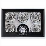 Stabilizovaná růže hlava 6ks/6cm metalická stříbrná - velkoobchod, dovoz květin, řezané květiny Brno