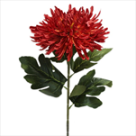 Chryzánthéma textil 76cm červená - velkoobchod, dovoz květin, řezané květiny Brno