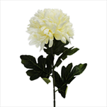 Chryzanthéma textil 75cm krém - velkoobchod, dovoz květin, řezané květiny Brno