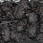 ARTICHOKE FLOWER SMALL DIP DYED BLACK TRAY ( 50 PC ) - velkoobchod, dovoz květin, řezané květiny Brno